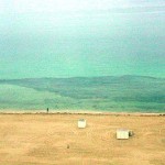 The Great Sardine Migration - Miami Beach The Great Sardine Migration - Miami Beach