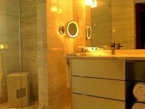The W Hotel - Miami Beach
